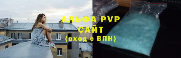 индика Богородицк