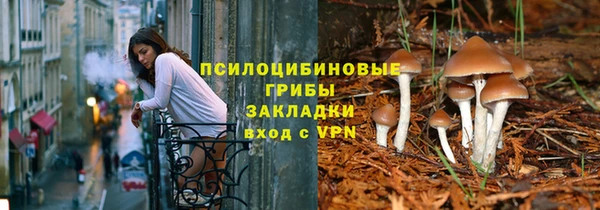 соль курить ск Бородино