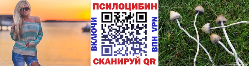 Псилоцибиновые грибы Cubensis  Купить где  Верхняя Пышма 